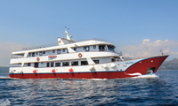 MS Maliante